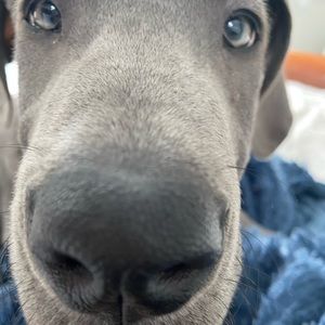 Meet your Posher, Christine